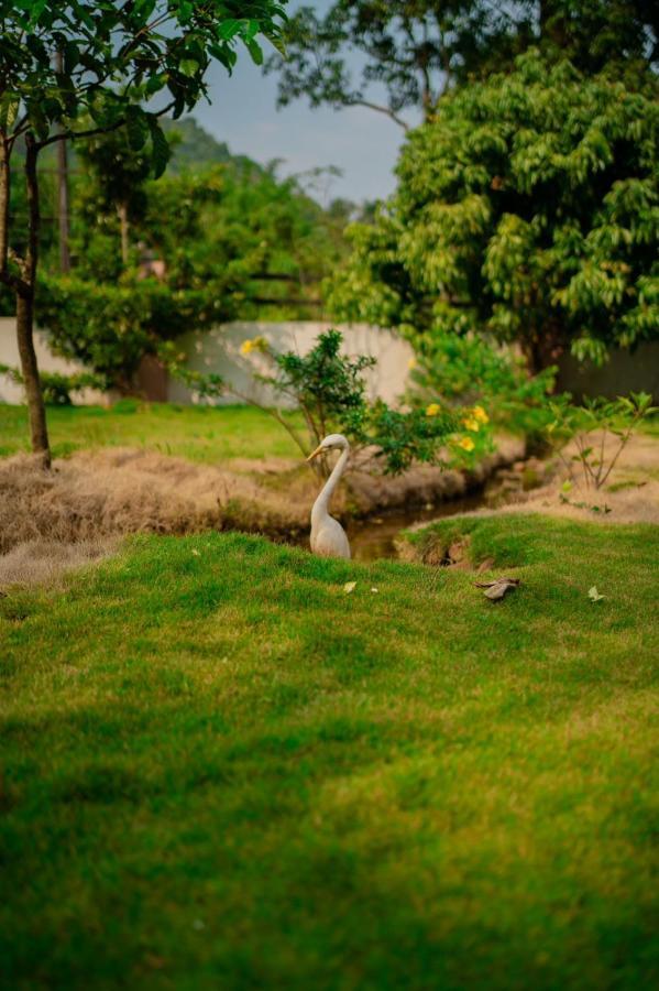 Vythiri Villas Wayanad エクステリア 写真